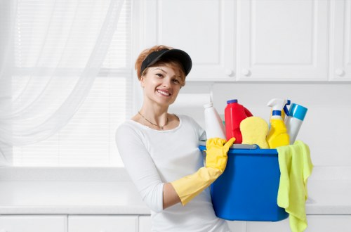 Service terms page for a professional carpet cleaning company