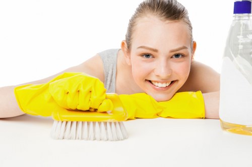 Professional sofa cleaning for a Westkensington living room