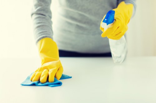 Carpet cleaning payment process protected by SSL encryption