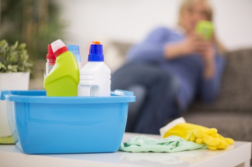 Careful treatment of upholstery affected by pet accidents