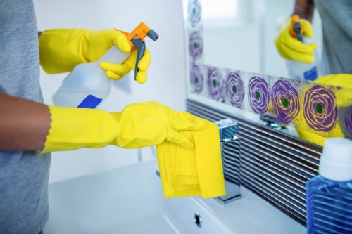 Deep cleaning equipment used for pet stain and odour removal