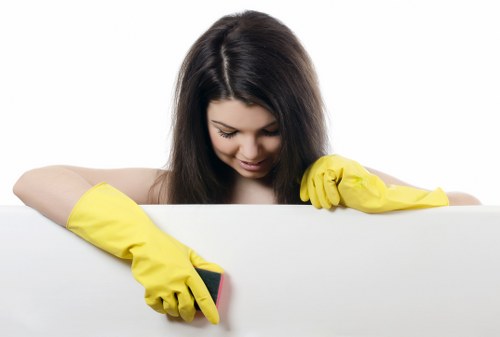 Cleaning supplies and routine maintenance for a business premises in Westkensington